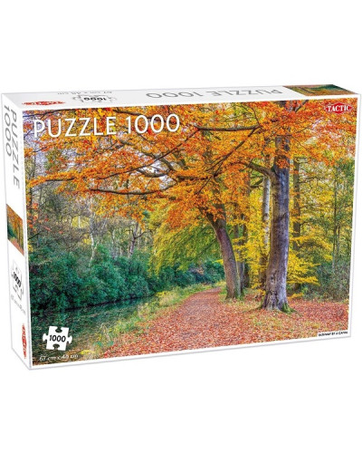 Пазл Tactic Стежка вздовж каналу